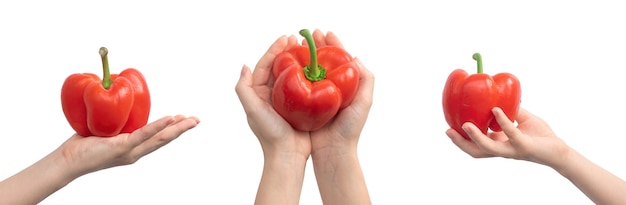 Red sweet pepper in hand isolated on a white background. Banner design. Sweet bell pepper collage or mix image