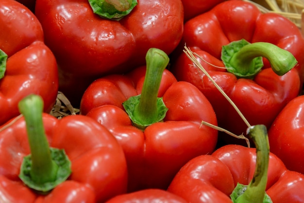 Foto peperone rosso su paglia