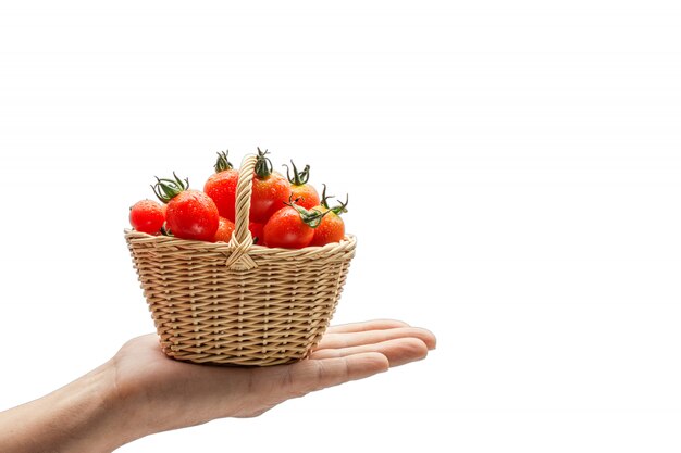 Red tomatoes in basket isolated on white background