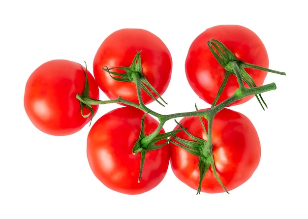 Red tomatoes on branch on white background isolated with clipping path Top view