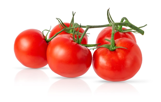 Red tomatoes on branch on white background isolated with clipping path