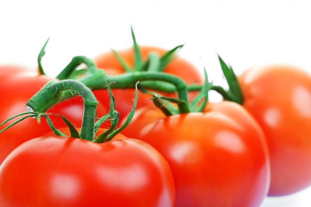 Red tomatoes on a white background