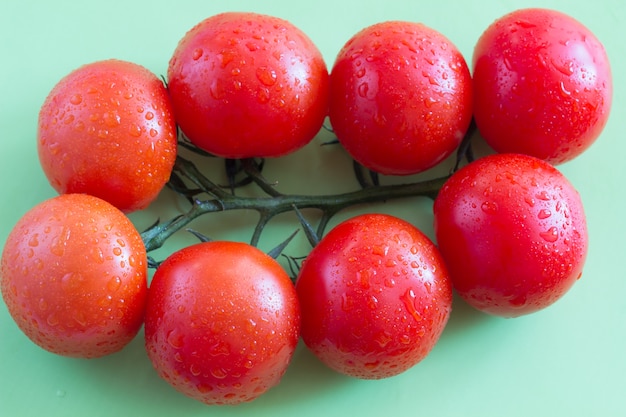 緑の葉と赤いトマト。