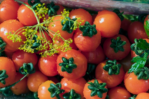 Red tomatoes with water droplets lie in the basket of the autumn harvest