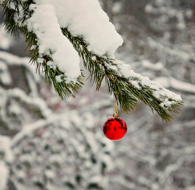 Red toy ball hangs on a snowy branch