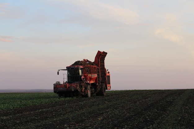 Foto un trattore rosso in un campo