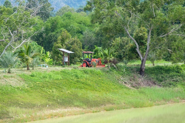 빨간 트랙터는 시골 농장의 작은 저수지 근처에 주차되어 있습니다