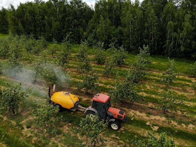 Красный трактор распыляет пестициды в яблоневом саду, опрыскивает яблоню трактором