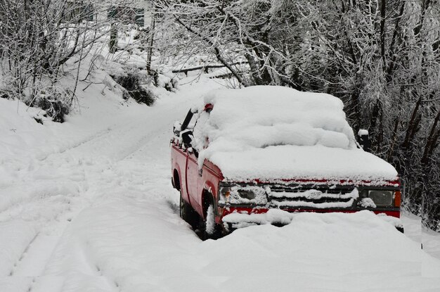 red truck covered by snow