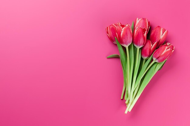 Red tulip flowers bouquet