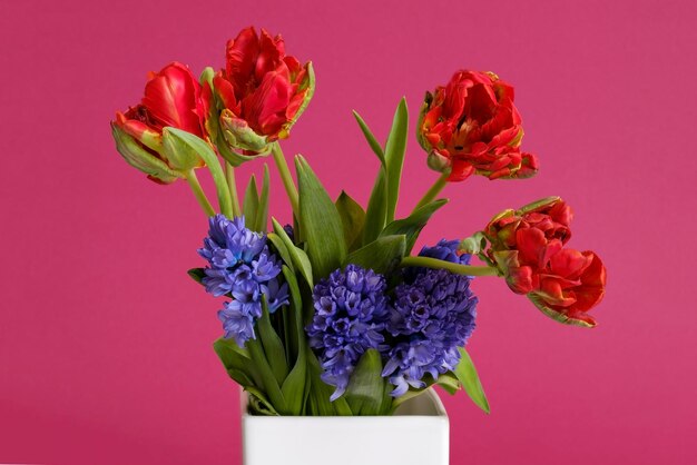 Red tulips and blue hyacinth flowers in white vase