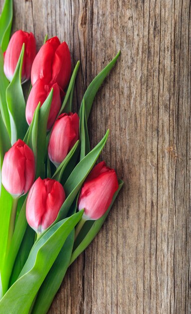 Red tulips bouquet isolated on wooden background