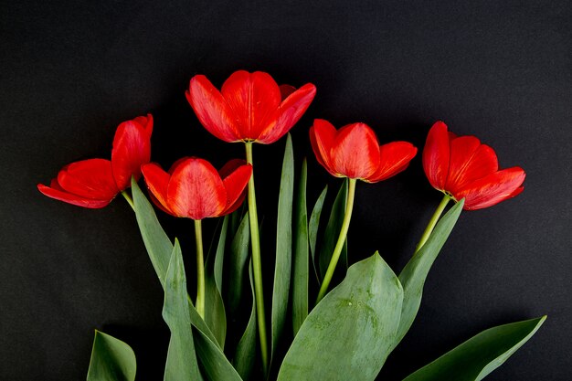 Фото Букет красных тюльпанов