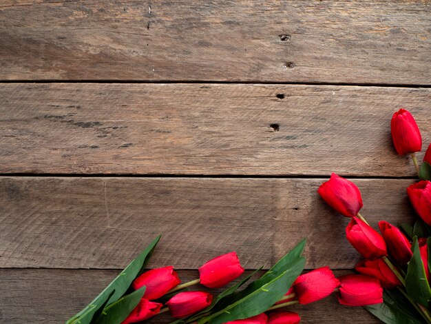 Red Tulips Easter day or Spring