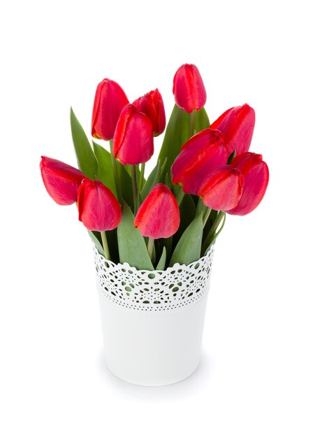 Красные тюльпаны в цветочном горшке