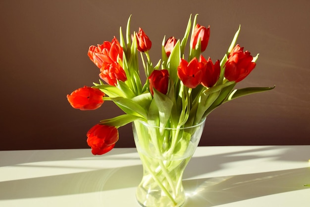 Red tulips in a glass vase in the sun.
