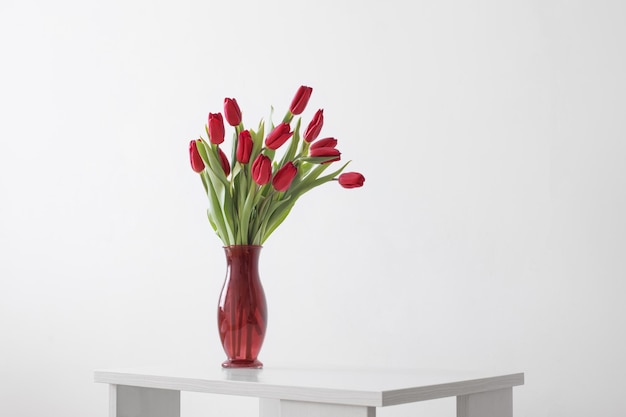 Photo red tulips in glass vase on white background