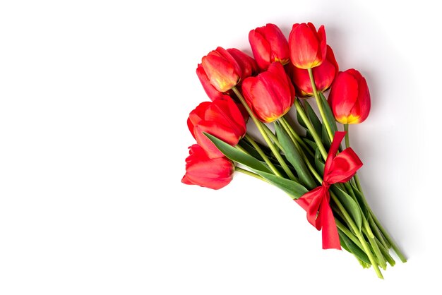 Red tulips isolated on white