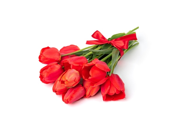 Red tulips isolated on white