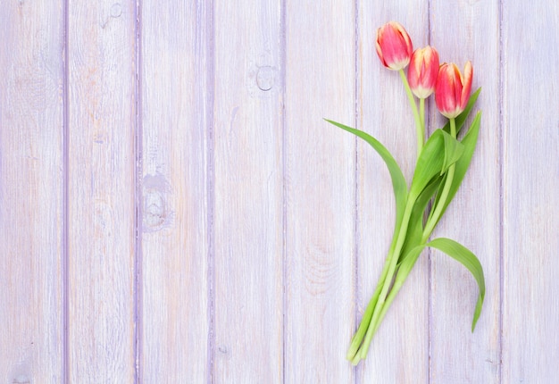 Red tulips over purple wooden table