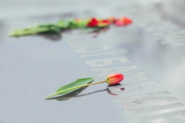 第二次世界大戦の戦没者を追悼する石碑の赤いチューリップ