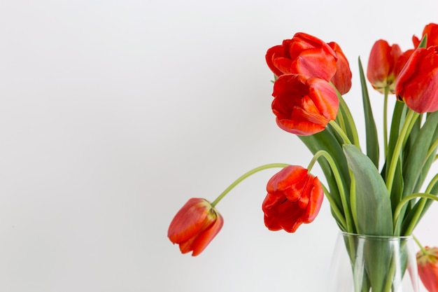 白のテーブルの上に花瓶の赤いチューリップ