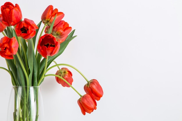 Red tulips in a vase on the table on white