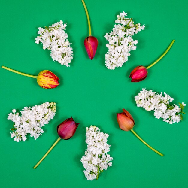 Red tulips white lilacs on a green background in the form of a circle View from above Blank for a postcard Mother's Day Valentine's Day