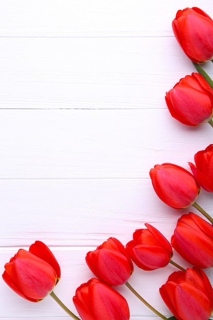 Red tulips on a white wooden background