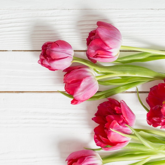 Red tulips on white wooden surface