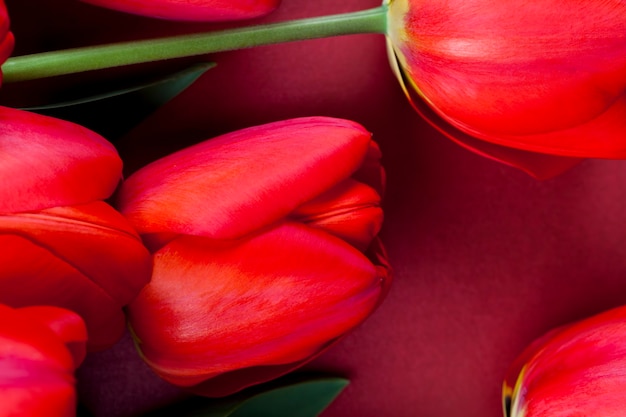 Фото Красные тюльпаны с яркими лепестками в букете