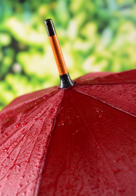 Photo red umbrella on bright background