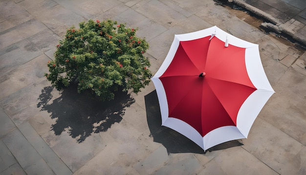 a red umbrella is open to a tree and the word  no