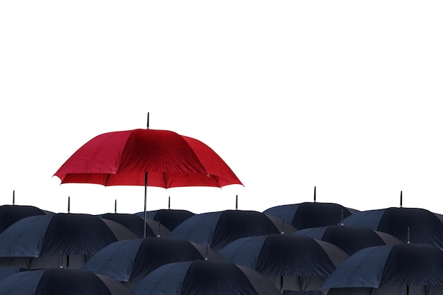 写真 スタジオでは黒い傘よりも赤い傘が目立ちます