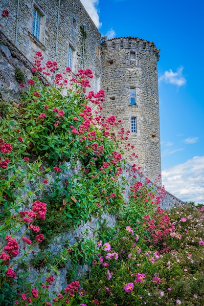 Red valerian flowers with the medieval castle of Lussan in the background, in the south of France