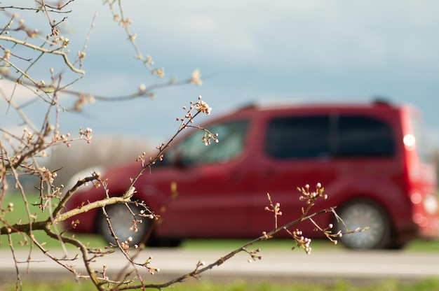 Photo a red van is parked in front of a tree with a few small flowers on it.