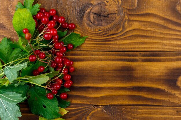 Красные ягоды калины с зелеными листьями на деревянном столе. Вид сверху, пространство для копирования