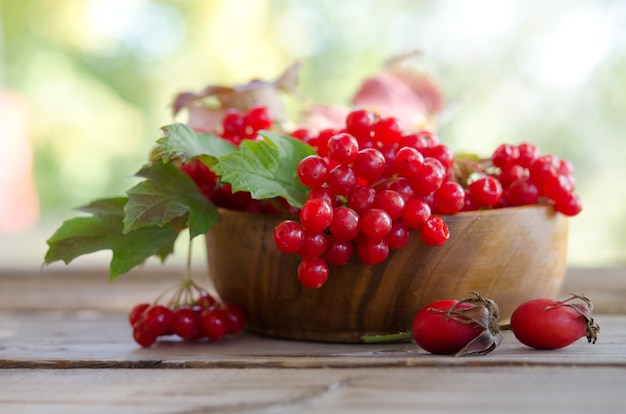 Red Viburnum berries in wooden bowl on the table with two rose hips