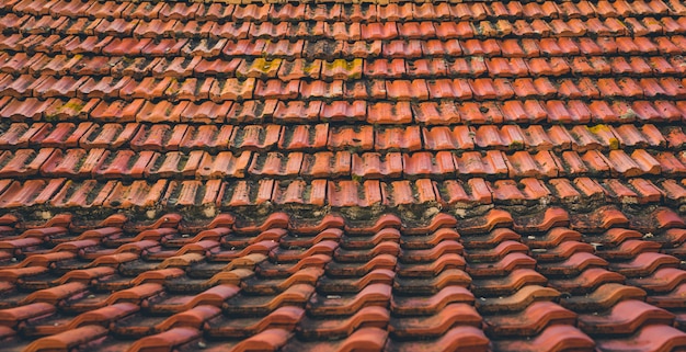 Red vintage moldy roof tiles in the rays of the rising sun.