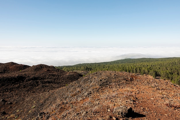 背景に森と赤い火山性土