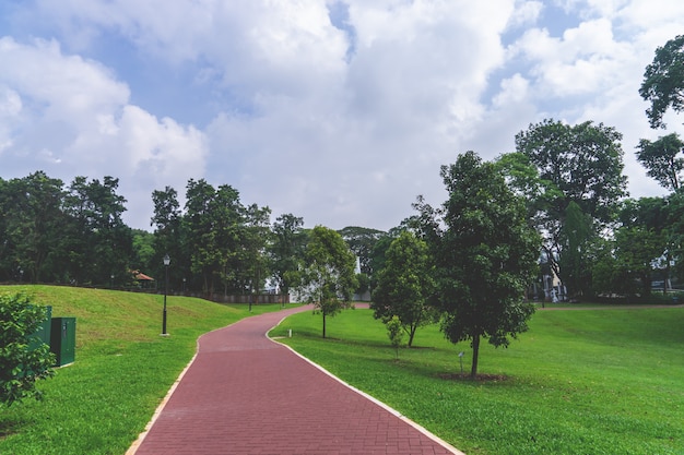 公共公園の赤い歩道の転換点