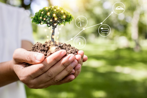 Red wereld en innovatieconcept, meisje met kleine plant of boompje groeit op uit de grond op palm met verbindingslijn, ecologie en behoudsconcept