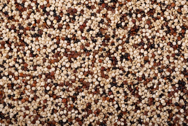 Red white and brown quinoa