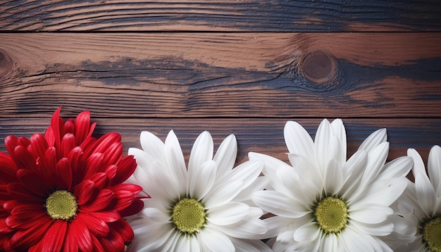 Photo red and white chrysanthemums on a wooden background