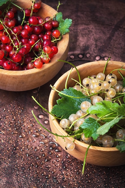 Red and white currant berries