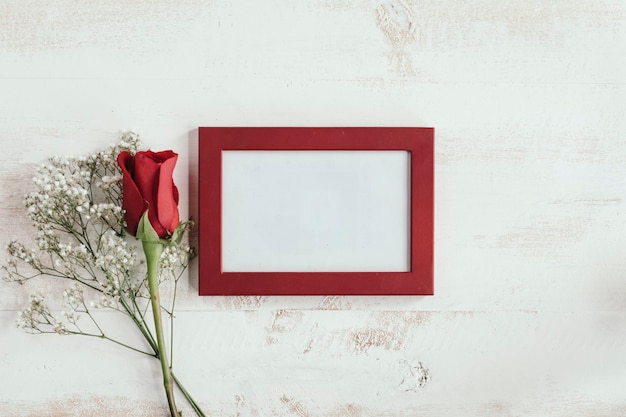 Red and white flower with frame