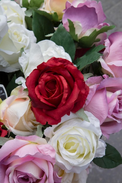 Red White and Pink Roses