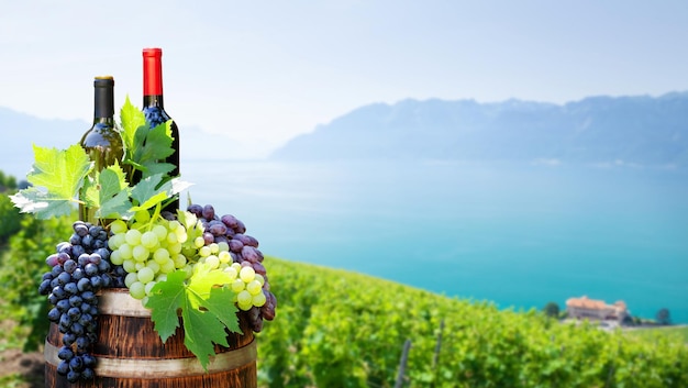 Бутылки красного и белого вина и виноград на винной бочке