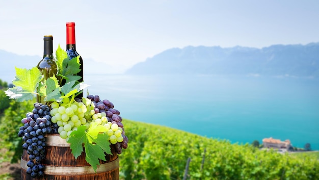 Red and white wine bottles and grapes on wine barrel