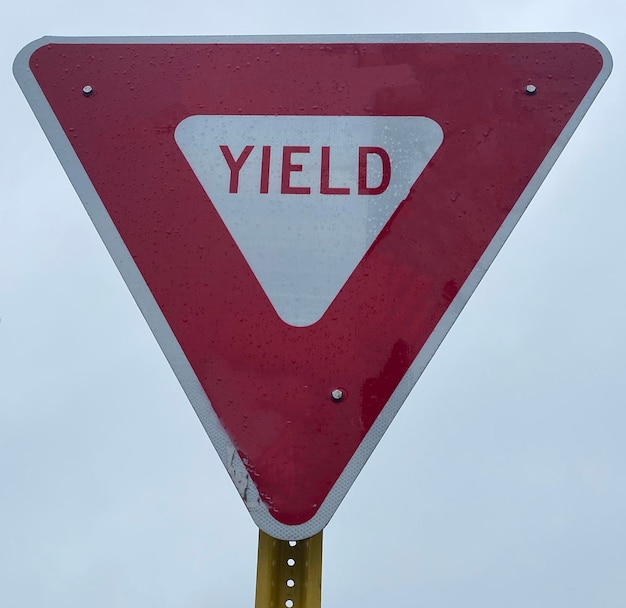 A red and white yield sign close up with white sky background